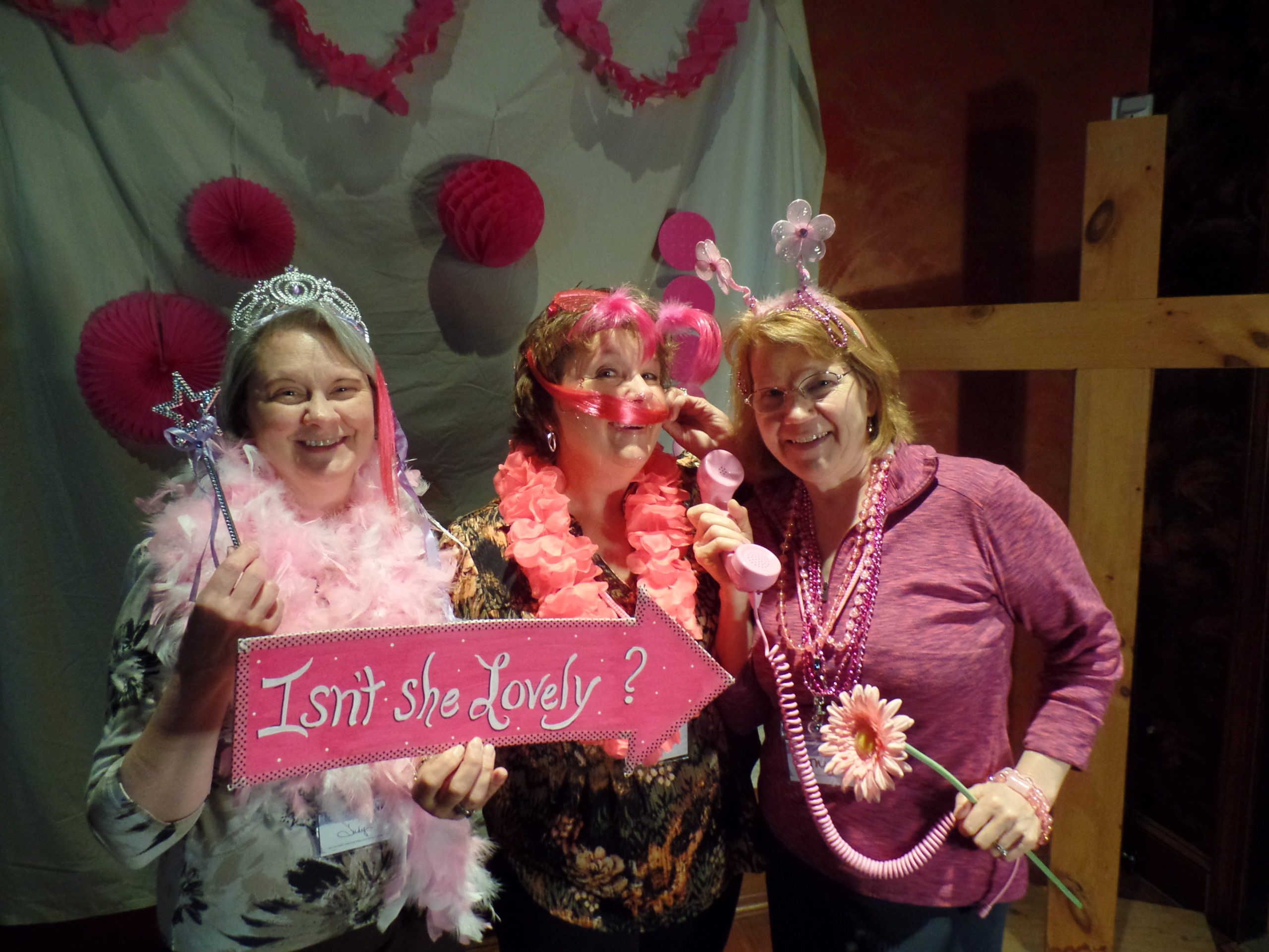 2016-05 Inspired Sisters Womens Ministry of Zions Church  - Pink Impact Simulcast 