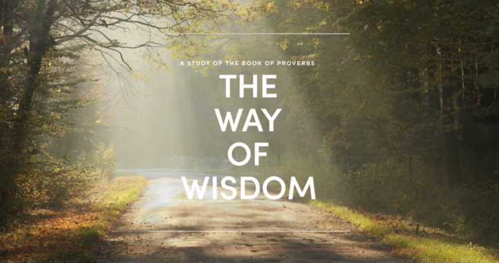 Ladies Bible Study: The Way of Wisdom
