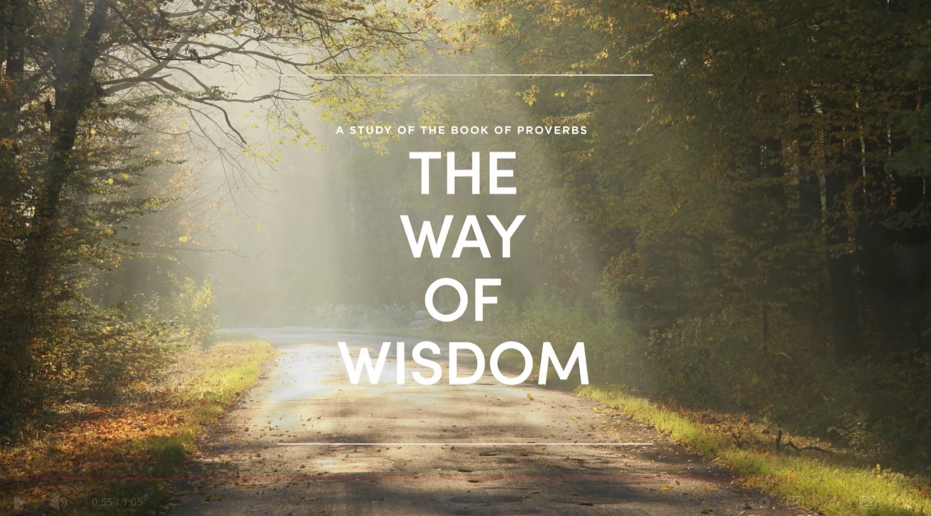 inspired sisters womens ministry bible study the way of wisdom lifeway the journey cafe