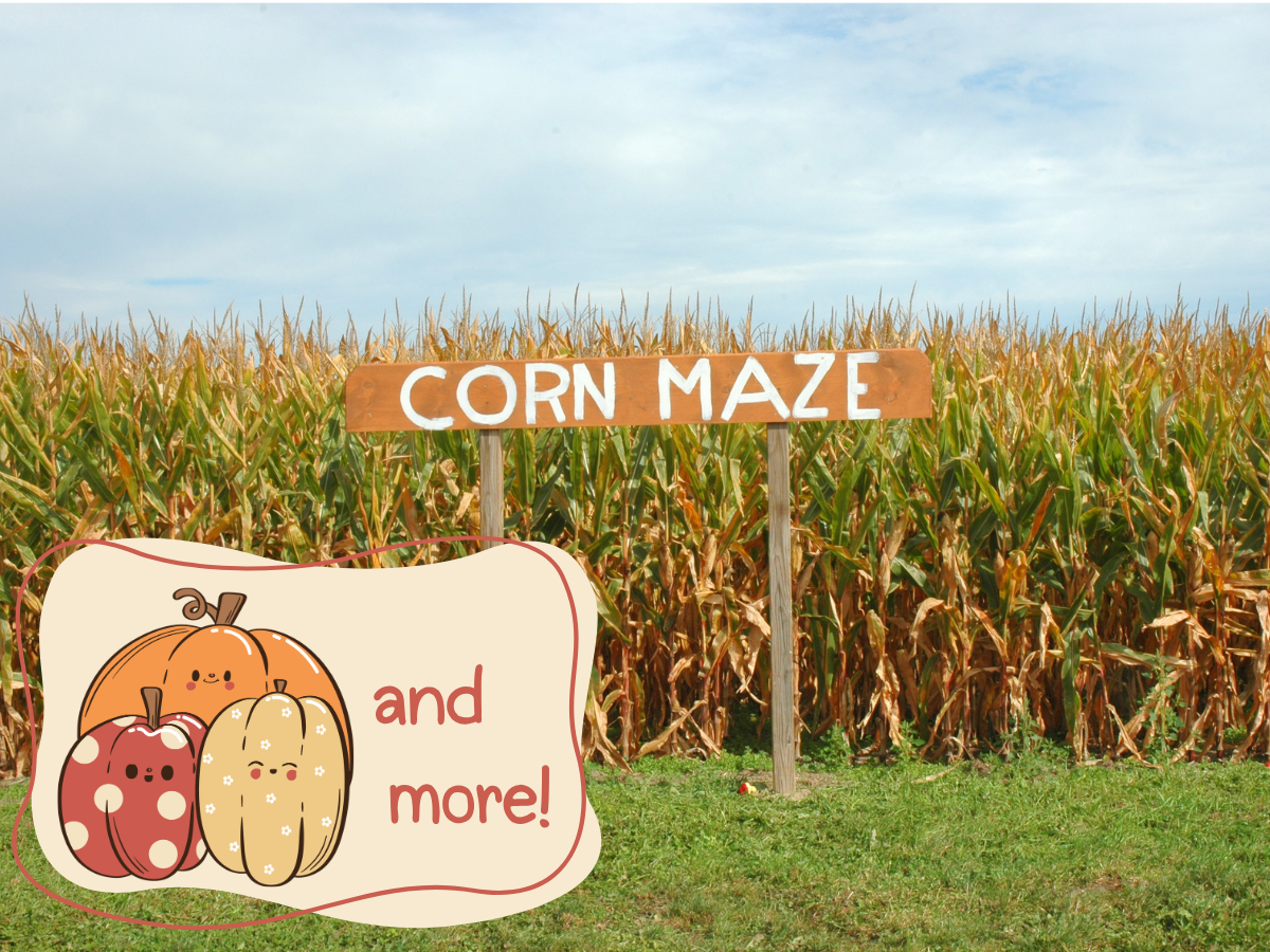 fall fun for the ladies corn maze night at duncans in robesonia
